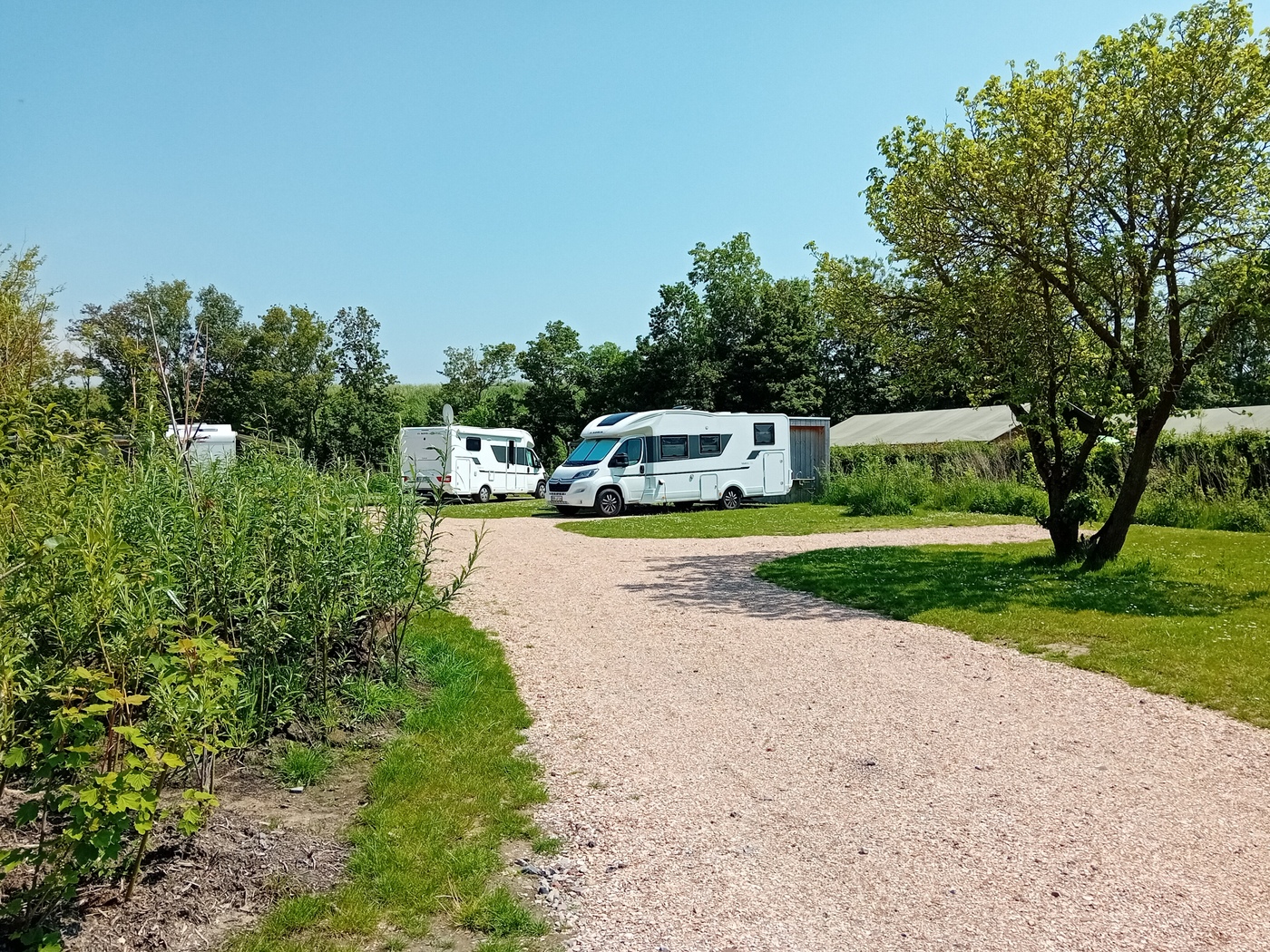 Liegt der Ardoer Comfortcamping Scheldeoord am Meer? - Photo 3