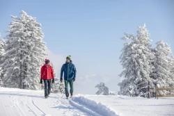 Mnn und Frau spazieren durch eine verschneite Landschaft