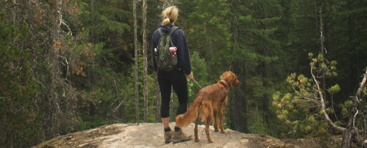 Wanderin mit Hund im Wald